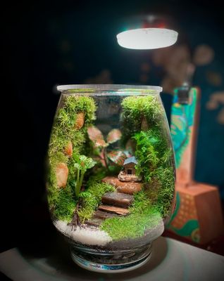 Glass jar terrarium_img_0