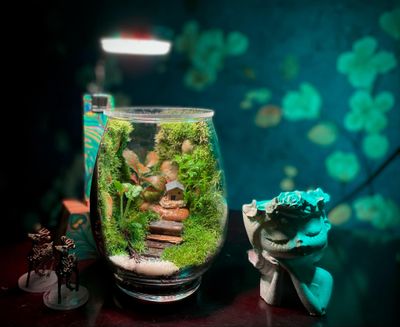 Glass jar terrarium_img_1