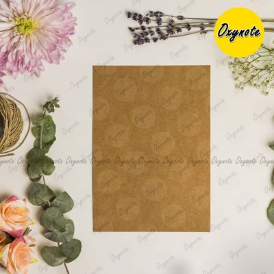 Blank Kraft Card by OXYNOTE - 25 Cards - 400GSM_img_4