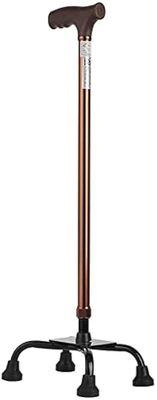 4 Leg Stick_img_0