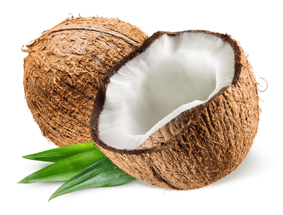 Coconut (নারকেল)_img_2