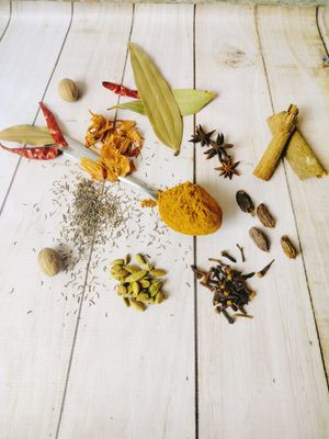 Tanduri Masala - তান্দুরি মশলা ১০০ গ্রাম