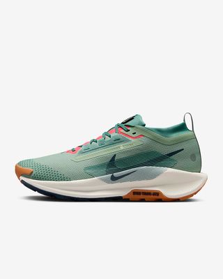Nike x Pegasus Trail 5 GORE-TEX (1:1)