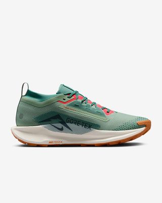 Nike x Pegasus Trail 5 GORE-TEX (1:1)_img_2