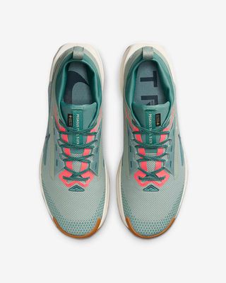 Nike x Pegasus Trail 5 GORE-TEX (1:1)_img_3