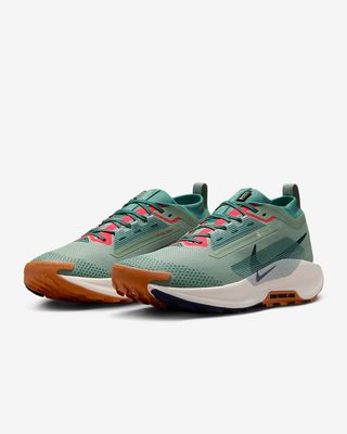 Nike x Pegasus Trail 5 GORE-TEX (1:1)_img_4