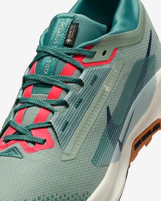 Nike x Pegasus Trail 5 GORE-TEX (1:1)_img_6