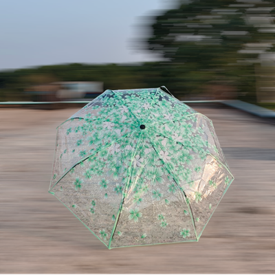 Transparent Umbrella Light Green._img_1