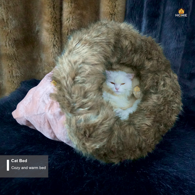 cat house_img_4