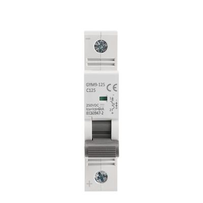 SP MCB Circuit Breaker | 230/400V_img_3