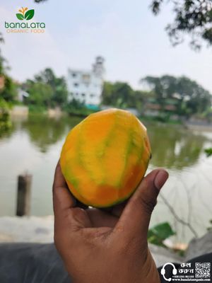 গোবিন্দভোগ আম ১২ কেজি পয়েন্ট ডেলিভারি