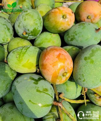 গোবিন্দভোগ আম ২৫ কেজি পয়েন্ট ডেলিভারি