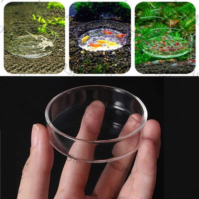 Fish Feeding Dish_img_3