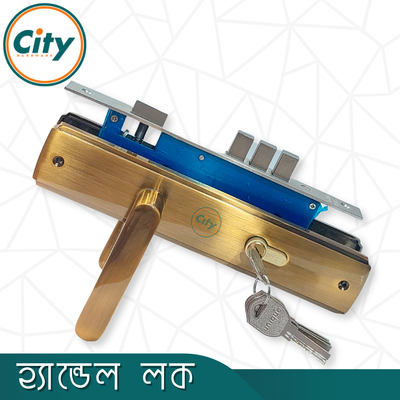 অনন্য রঙের উচ্চ সুরক্ষা স্ট্যান্ডার্ড সাইজের হ্যান্ডেল লক প্রধান দরজার লক Door Lock_img_1
