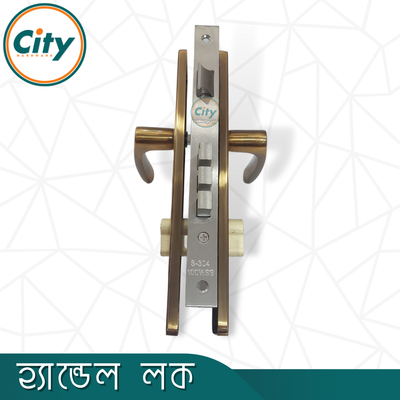 অনন্য রঙের উচ্চ সুরক্ষা স্ট্যান্ডার্ড সাইজের হ্যান্ডেল লক প্রধান দরজার লক Door Lock_img_3