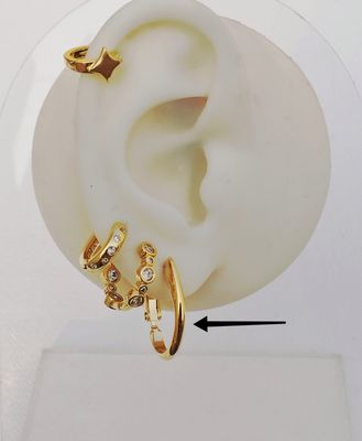 Perri hoop earrings_img_1