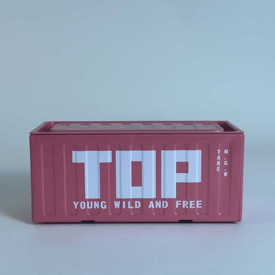 Mini Cargo Container Storage Box_img_3