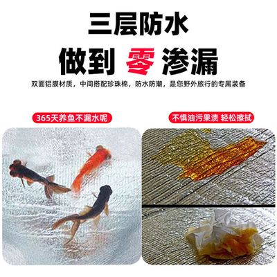Double-Sided Aluminum Film Moisture-Proof Mat – Thickened Beach Mat for Camping, Lunch Breaks, and Emergency Use_img_3