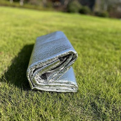 Double-Sided Aluminum Film Moisture-Proof Mat – Thickened Beach Mat for Camping, Lunch Breaks, and Emergency Use_img_4