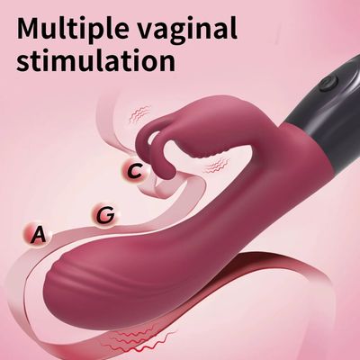 Rabbit Vibrator Realistic Dildo Sex Toys for Women 12 Vibration G Spot Clitoral Vibrators Stimulator Sextoy for Adults Goods 18+_img_7