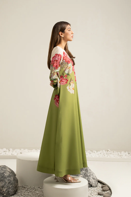 Pakistani Lulusar - Ilum Dress_img_1