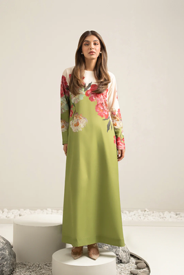 Pakistani Lulusar - Ilum Dress_img_3