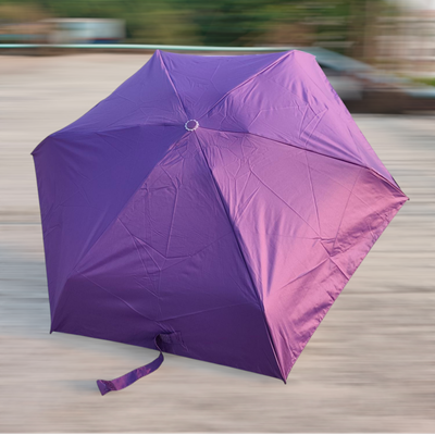 Capsule Umbrella_img_2