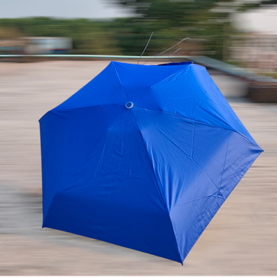 Capsule Umbrella_img_4