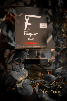 Salvatore Ferregamo F Black EDT Decant_img_1