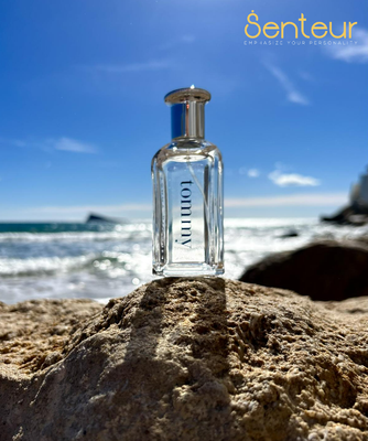 Tommy Hilfiger Tommy EDT Decant_img_0