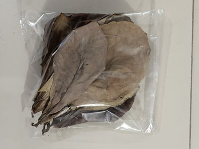 Indian dry almond leaf_img_3