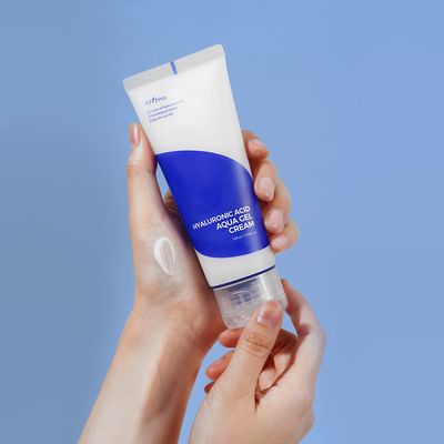 Isntree Hyaluronic Acid Aqua Gel Cream (100ml)_img_1
