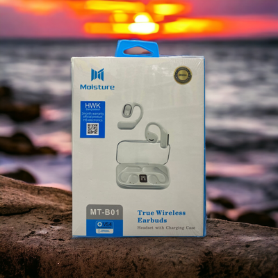MOISTURE MT-B01 WIRELESS EARBUDS_img_1
