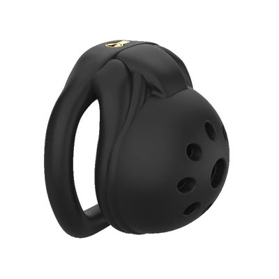 25 New Models of Chastity Lock for Men Embedded Small Lock Core Birdcage Pot Cover Ring and Grooming Equipment Alternative Toys_img_10