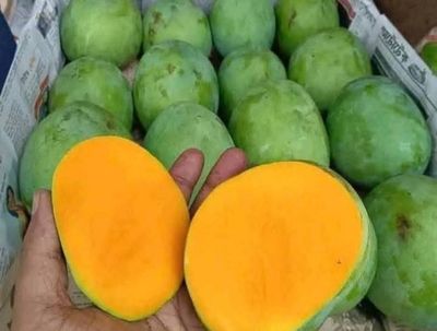 সাতক্ষীরার গোবিন্দভোগ (২০কেজি)_img_1