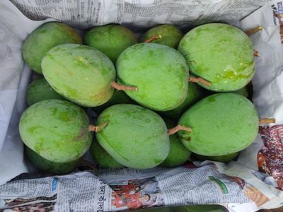 সাতক্ষীরার গোবিন্দভোগ (২০কেজি)_img_2