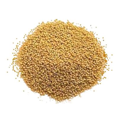 Mustard Seed 100gm(সরিষা দানা)_img_0
