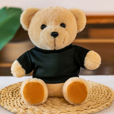New Sweater Bear Teddy Bear Doll_img_1