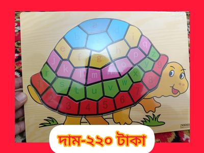 puzzle turtle_img_0