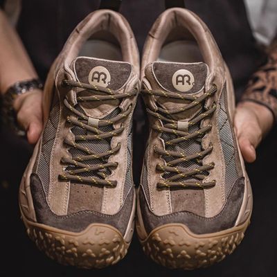 Hiking work shoes._img_0