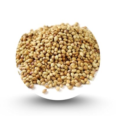 ধনিয়া দানা মসলা (১০০ গ্রাম)_img_0