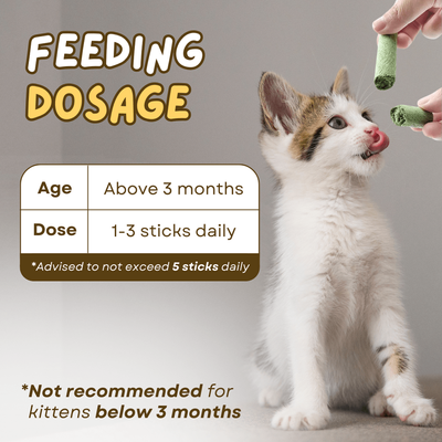 Cat Grass 6pcs Teething Stick set with Chicken Flavor (30g)_img_2