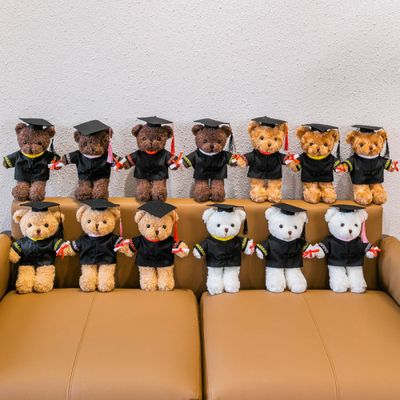 Doctor Hat Teddy Bear: Graduation Plush Toy Gift 30cm_img_1