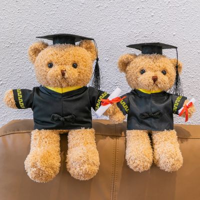 Doctor Hat Teddy Bear: Graduation Plush Toy Gift 30cm_img_0