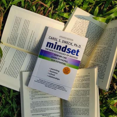 Mindset by Dr. Carol Dweck_img_0