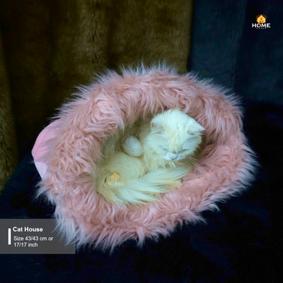 Cat house_img_3