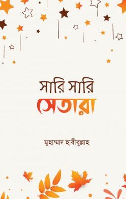 সারি সারি সেতারা_img_0