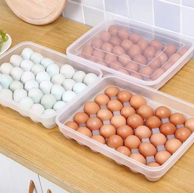 34 Gird Egg Storage Box ._img_0