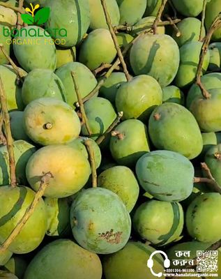 গোপালভোগ আম ১২ কেজি পয়েন্ট ডেলিভারি_img_1