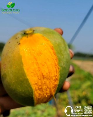 গোপালভোগ আম ২৫ কেজি পয়েন্ট ডেলিভারি